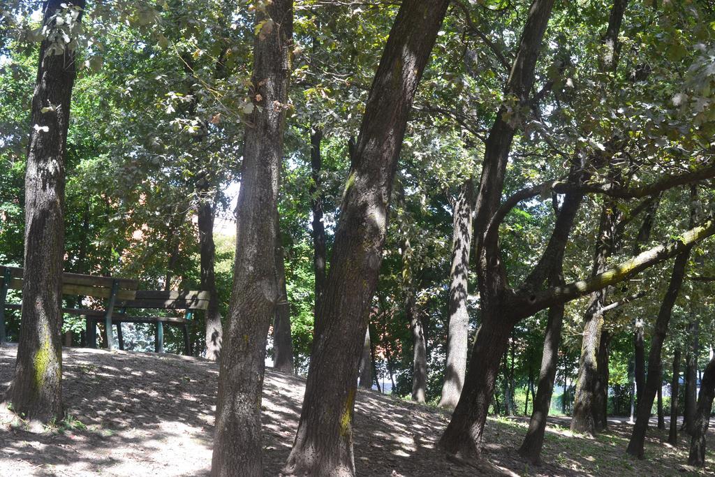 Casa Lory Apartman Bologna Szoba fotó